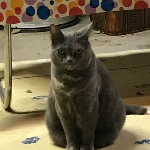 Meet your Posher, Robert